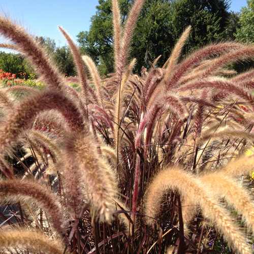 photo of Washington Park Gardens at 1000 South Downing Street Denver CO 80209