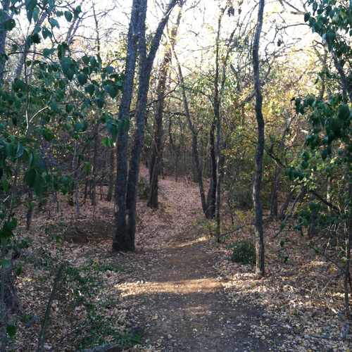 photo of End Of Royal Oaks Blvd. at 19 Live Oak Lane Lake Dallas TX 75065