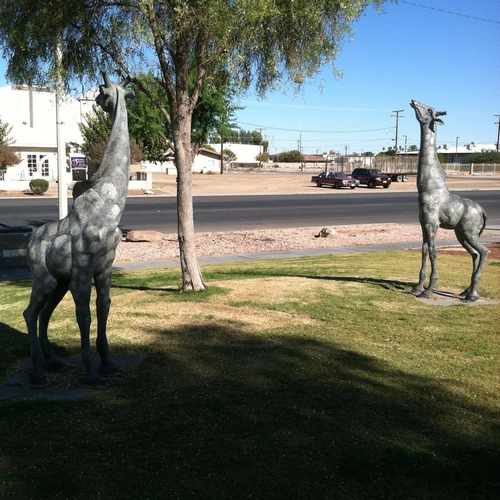 photo of City Giraffe Park at 531 Hobsonway Blythe CA 92225