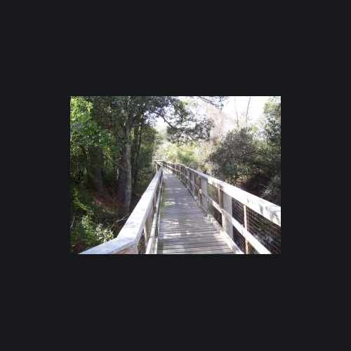 photo of Jones Swamp Preserve at 1131 Patton Dr Pensacola FL 32507