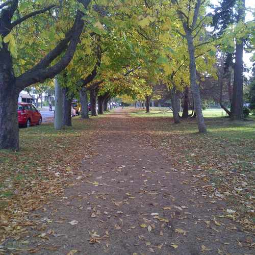 photo of Johnson st at 1215 Johnson Street Victoria BC Canada