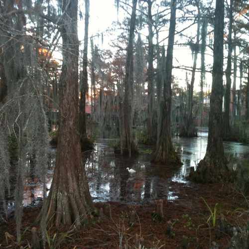 photo of University of Louisiana at Lafayette at 104 East University Avenue Lafayette LA 70503