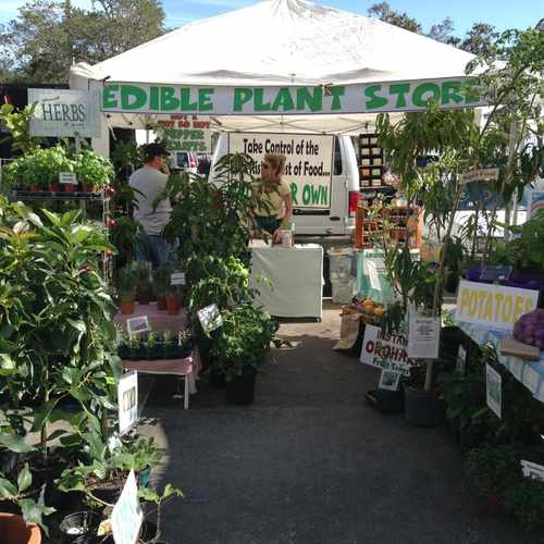 photo of Edible Plant Store at 321 2nd Avenue Southeast St. Petersburg FL 33701