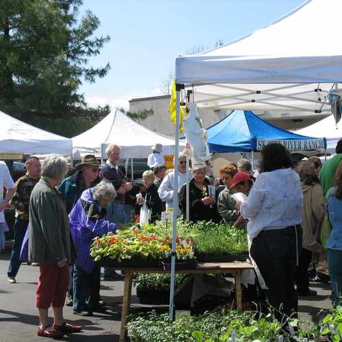 photo of West Seattle Farmers Market at 44th Avenue Southwest Seattle WA US