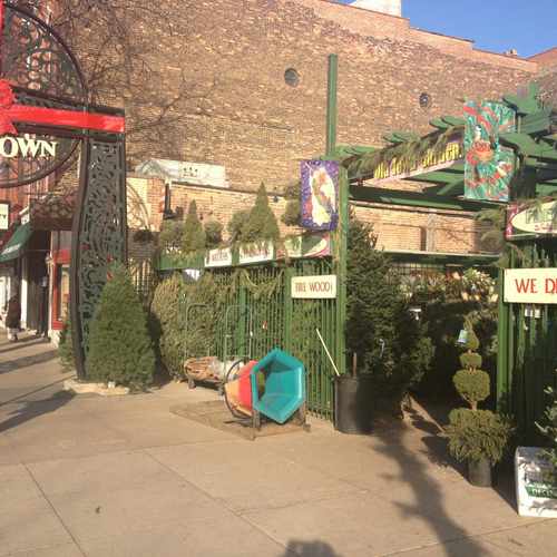 photo of Old Town Garden at 1555 North Wells Street Chicago IL 60610