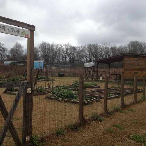photo of Montevallo's Seed To Table at 454 Overland Road Montevallo AL 35115
