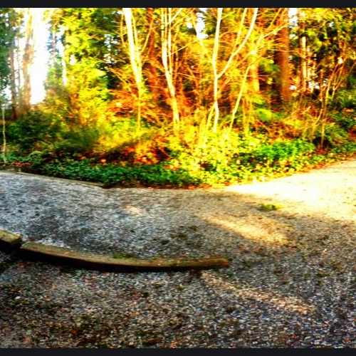 photo of Bovee Park at 1411 110th Avenue Northeast Bellevue WA 98004