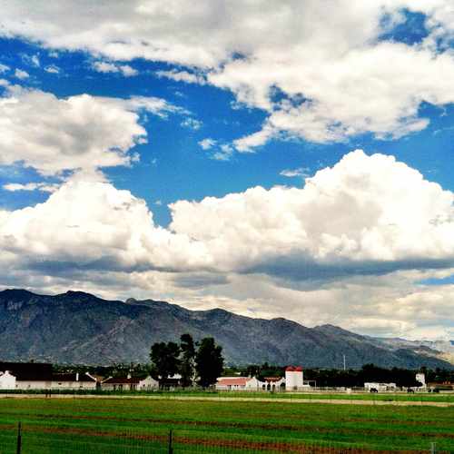 photo of University Of Arizona Campus Farm at 1601 East Roger Road Tucson AZ 85719
