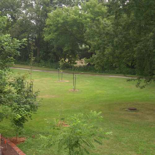 East River Trail, Bellevue WI Walk Score