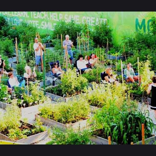 photo of Montrose Green Community Garden at 1825 West Montrose Avenue Chicago IL 60640