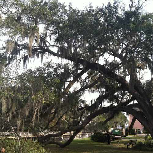 photo of Mom's Park at 1818 Willow Branch Terrace Jacksonville FL 32205