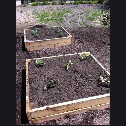 photo of Lawrenceville Organic Community Garden at 5000 Butler Street Pittsburgh PA 15224