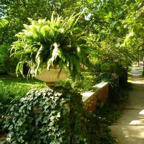 photo of Volker at 3743 East Roanoke Drive Kansas City MO 64111