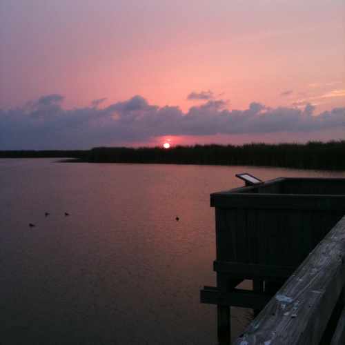 photo of Leonabelle Turnbull Birding Center at Ross Avenue Port Aransas TX 78373