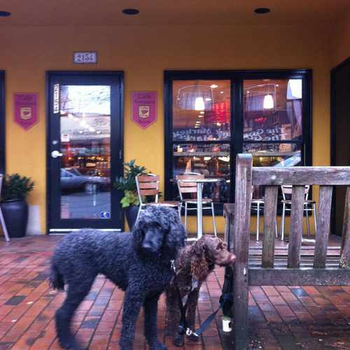 photo of Caffe Artigiano at 2159 West 41st Avenue Vancouver BC Canada