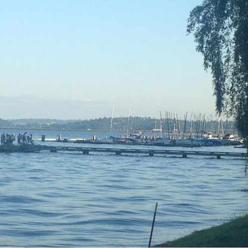 photo of T Dock at 408 Lake Washington Boulevard Seattle WA 98122