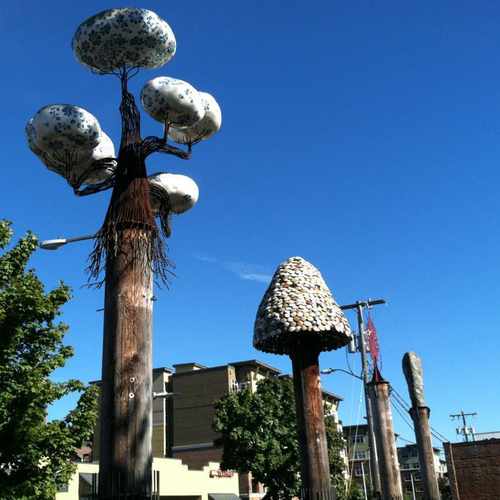 photo of Bergen Place Poles at 2019 Northwest Market Street Seattle WA 98107