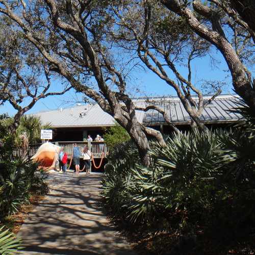 photo of Marine Science Center at 100 Lighthouse Drive Ponce Inlet FL 32127