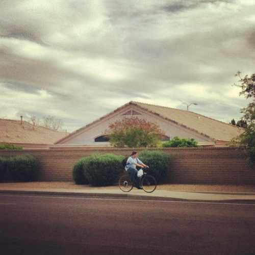 photo of Alta Mesa Estates Community at 5345 East McLellan Road Mesa AZ 85205
