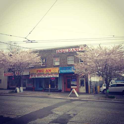 photo of Jackson street at 1032 South Jackson Street Seattle WA 98104