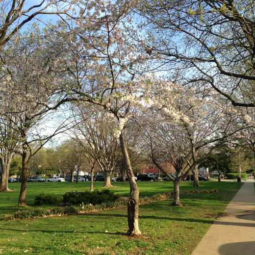 photo of Providence Park (X Park) at 298 E Street Southeast Washington DC 20003