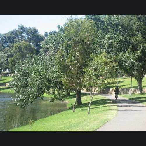 photo of Grundy Gardens at Victoria Drive Adelaide SA Australia