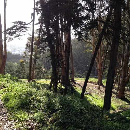 photo of The Presidio Trust at 103 Montgomery Street San Francisco CA 94104