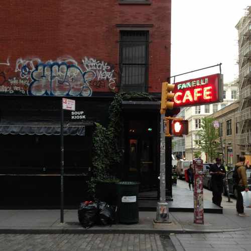 photo of Fanelli Cafe at 94 Prince Street New York NY 10012
