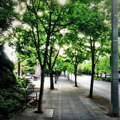photo of Near Downtown Park at 119 Bellevue Square Bellevue WA 98004