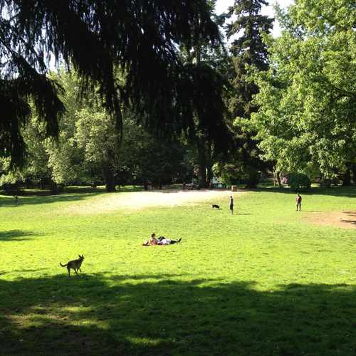 photo of Laurelhurst City Park at 3898 Southeast Ankeny Street Portland OR 97214