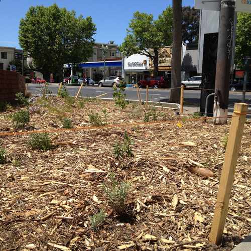photo of Elita And Grand Ave. at 384 Grand Avenue Oakland CA 94610