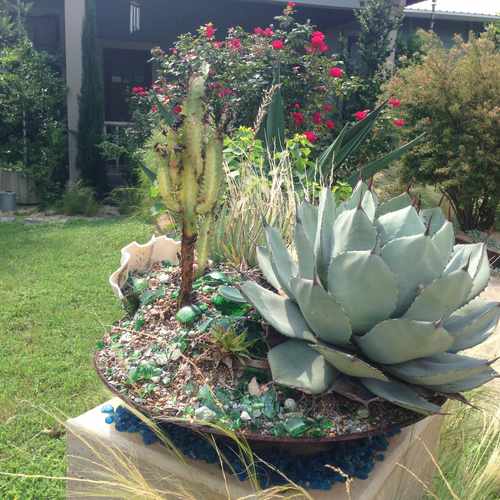 photo of 6th/West Lynn at 1511 West 6th Street Austin TX 78703
