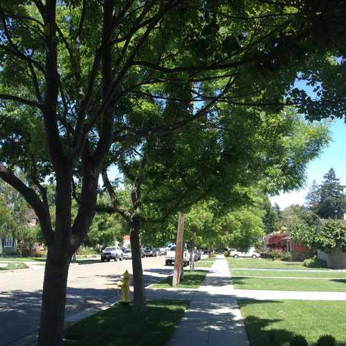 photo of Willon Glen at 1431 Glenwood Avenue San Jose CA 95125
