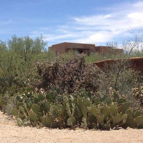 photo of Corner Of Limberlost And Stone at 4216 North Villas Placitas Tucson AZ 85705