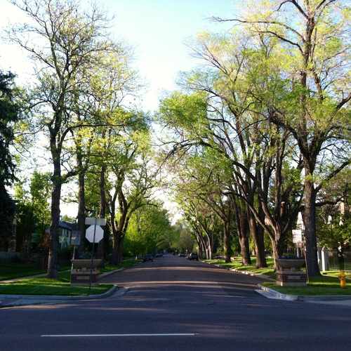 photo of 1st Ave & Vine St at 101 Vine Street Denver CO 80206