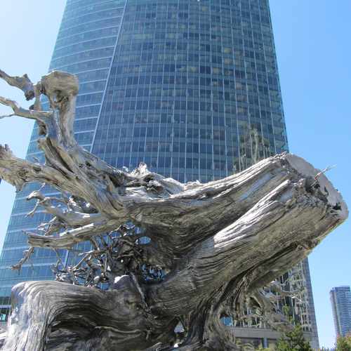 photo of City Hall Plaza at 450 110th Avenue Northeast Bellevue WA 98004