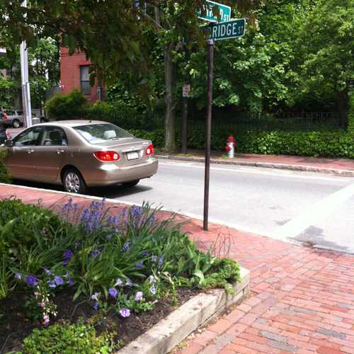 photo of Trowbridge at Harvard at 375 Harvard St Mid-Cambridge MA 02138