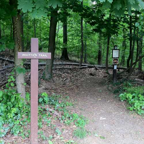 photo of Whittier Trail at 6762 16th Street Northwest Washington DC 20012