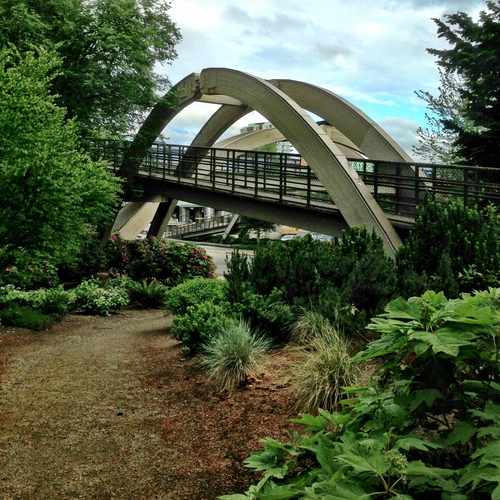 photo of Pedestrian Bridge at 10999 Northeast 12th Place Bellevue WA 98004