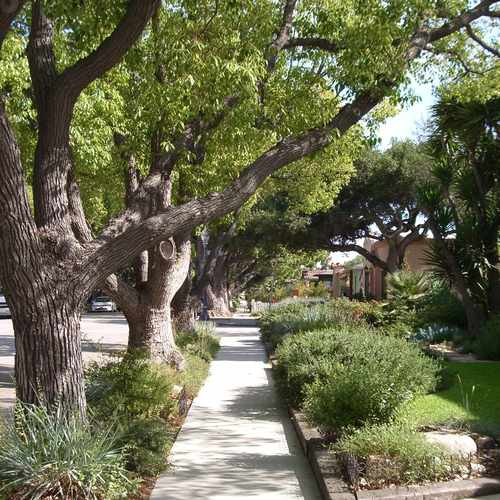 photo of Cal Heights Street Scene at 3601 Olive Avenue Long Beach CA 90807
