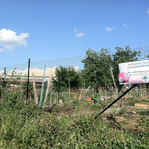 photo of Montgomery Park Community Garden at 7833 12th Street Northwest Washington DC 20012
