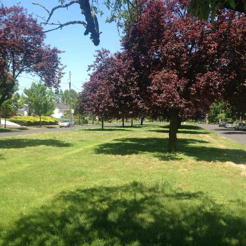 photo of Greenspace at 3606 Northeast 72nd Avenue Portland OR 97213