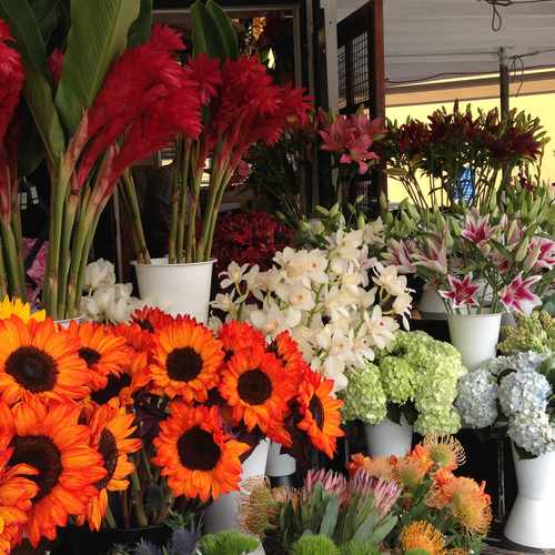photo of Ever Bloom Flowers at 502 University Avenue San Diego CA 92103