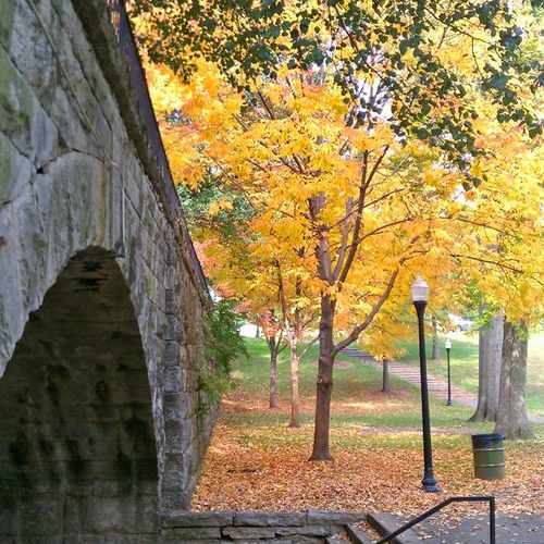 photo of Tyler Park at 1501 Castlewood Avenue Louisville KY 40204