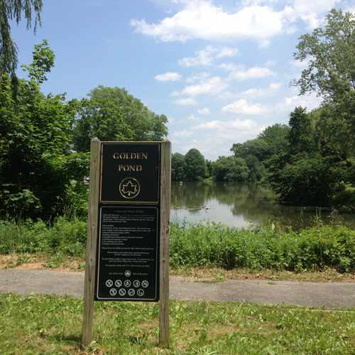 photo of Golden Pond, Crocheron Park, Bayside at 35th Avenue Queens NY 11361