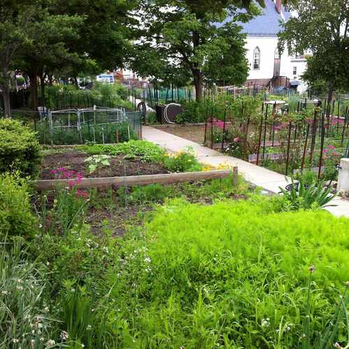 photo of Mission Hill Community Garden at 774 Parker Street Boston MA 02120