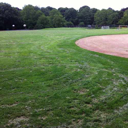 photo of Coldspring Park Fields & Courts at Lifecourse Trail Newton MA 02461