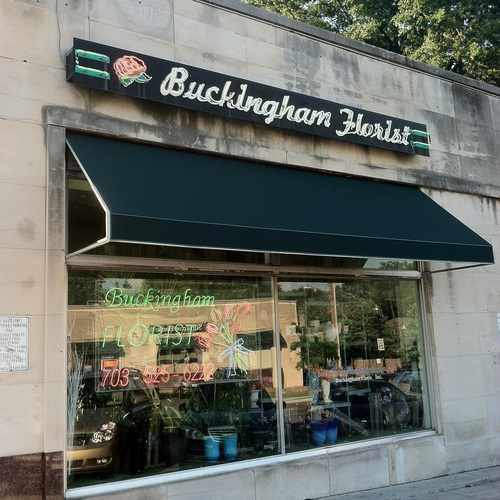 photo of Buckingham Florist at 301 North Glebe Road Arlington VA 22203