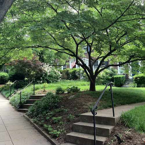 photo of Street Scene at 3622 Whitehaven Parkway Northwest Washington DC 20007