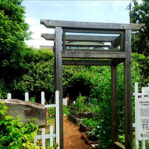 photo of Community Garden at 5616 University Way Northeast Seattle WA 98105